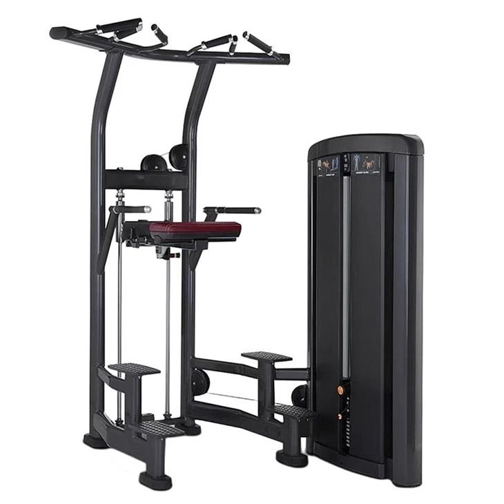 Assisted Pull-Up & Dip Machine: The Ultimate Allt-i-One Upper Body Trainer